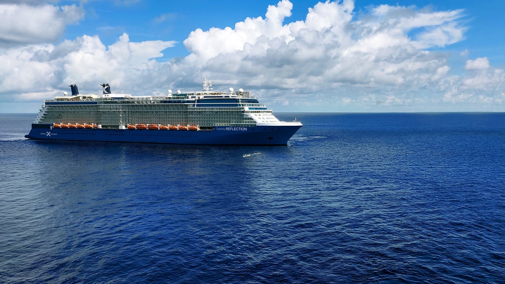 Celebrity Reflection