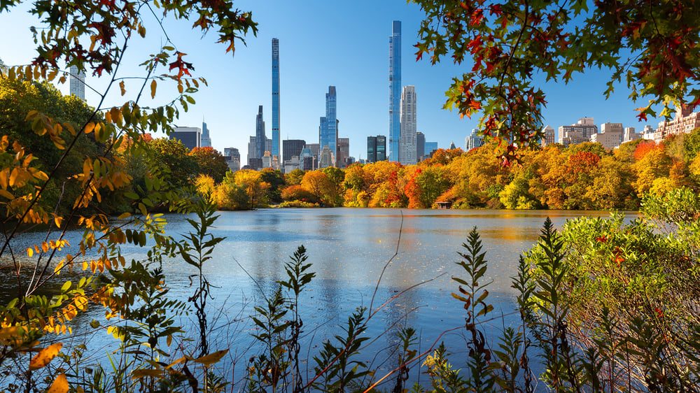 North America Cruises