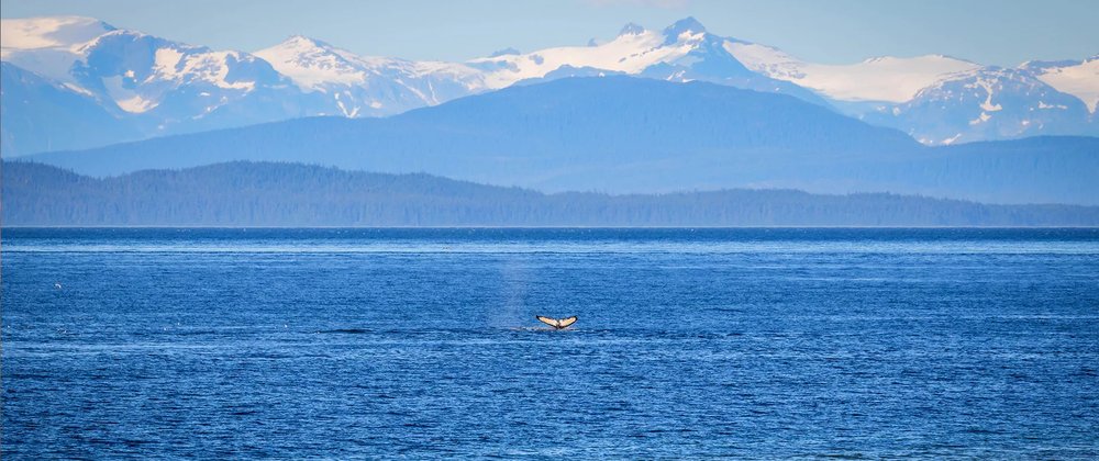 Destination Spotlight: Icy Strait Point