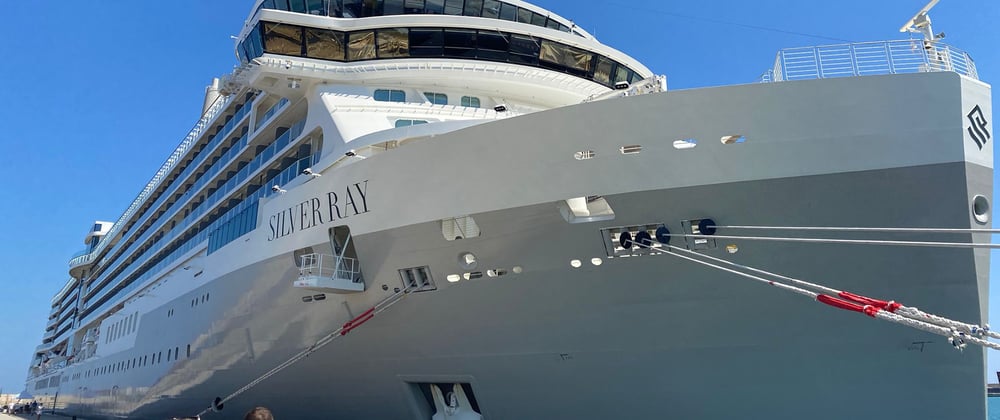 Silver Ray Review August 2024