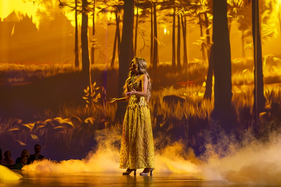 Celebrity Xcel Entertainment