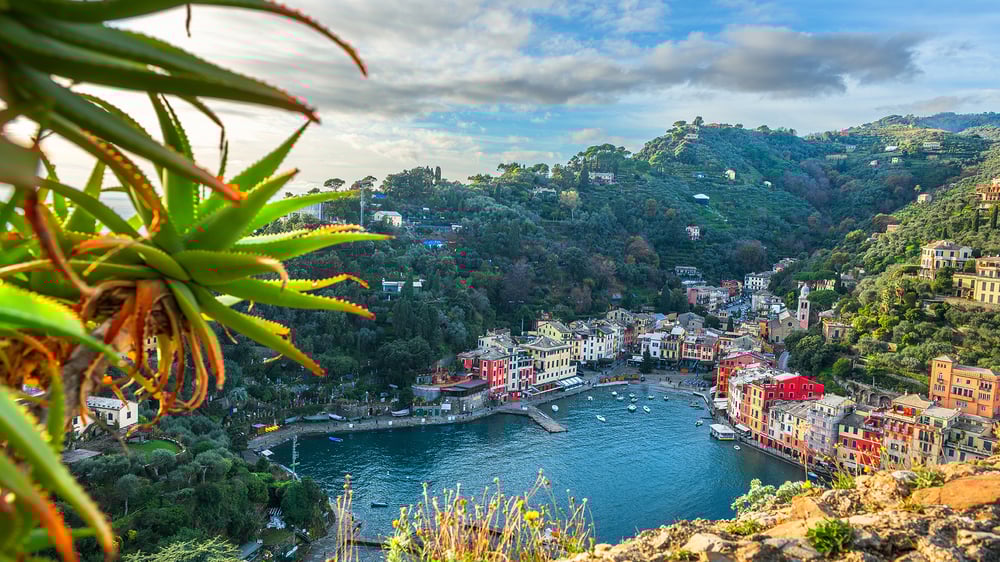 Mediterranean Cruises