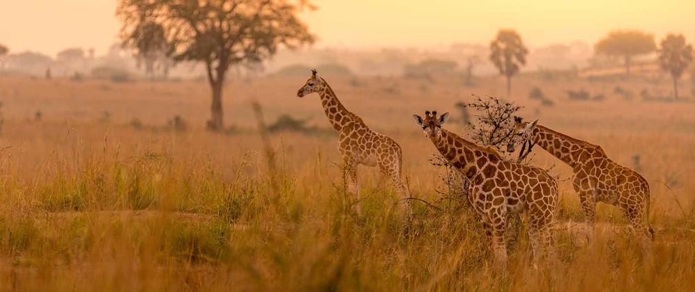 Seabourn Announces Africa Circumnavigation For 2024