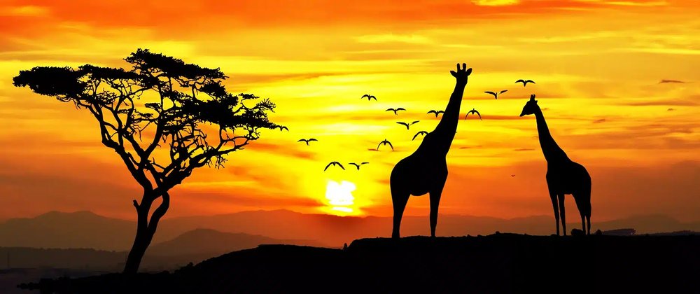 Seabourn launches 'Grand Africa' Tour!