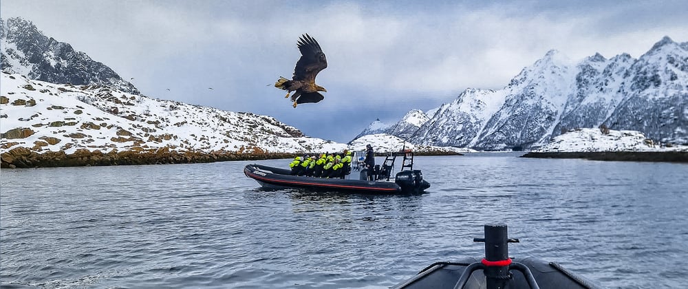 MS Trollfjord Review March 2025