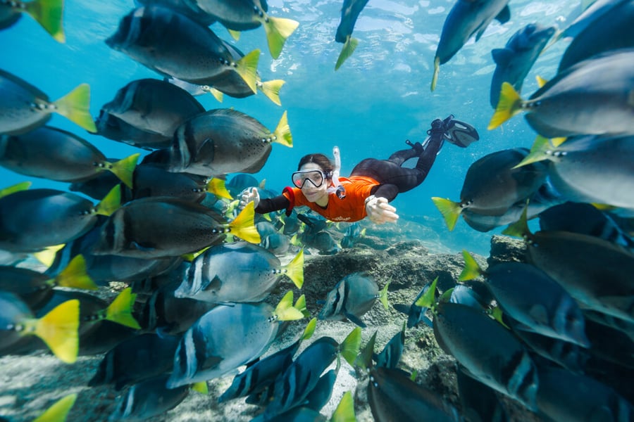 Lindblad National Geographic Delfina Entertainment