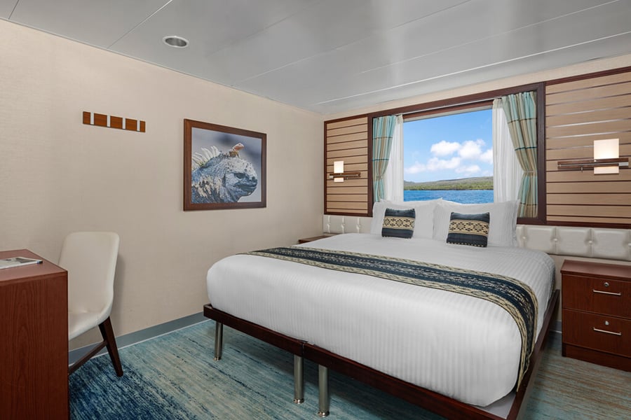 Lindblad National Geographic Endeavour II Accommodation