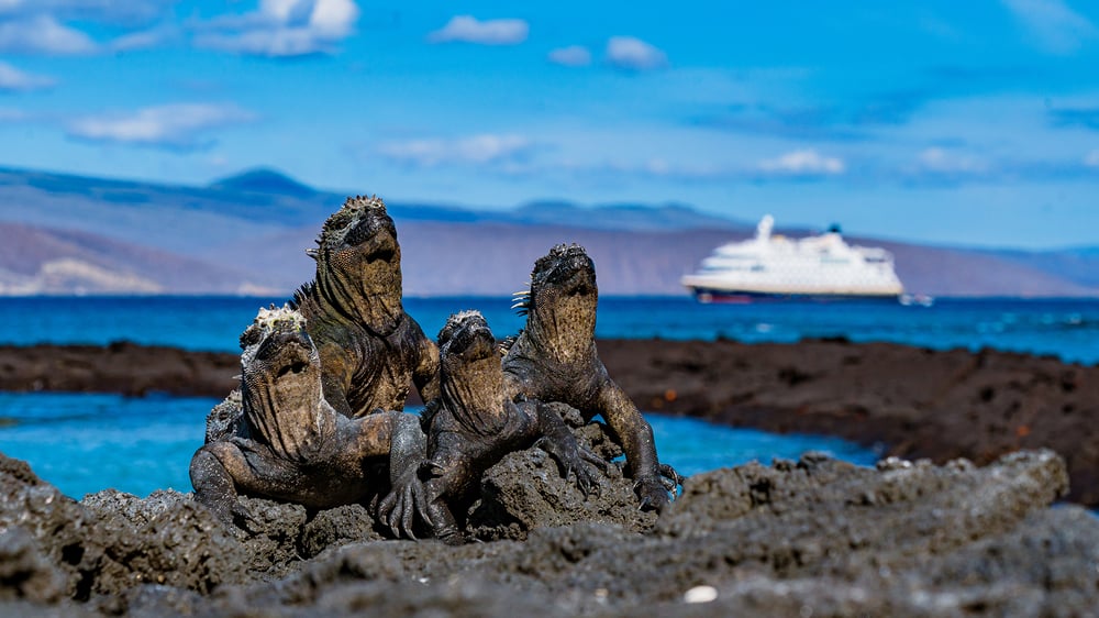 Galápagos Islands – In Darwin’s Footsteps Plus Machu Picchu