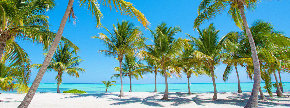 Southern Caribbean Cruise with San Juan and Bridgetown stay