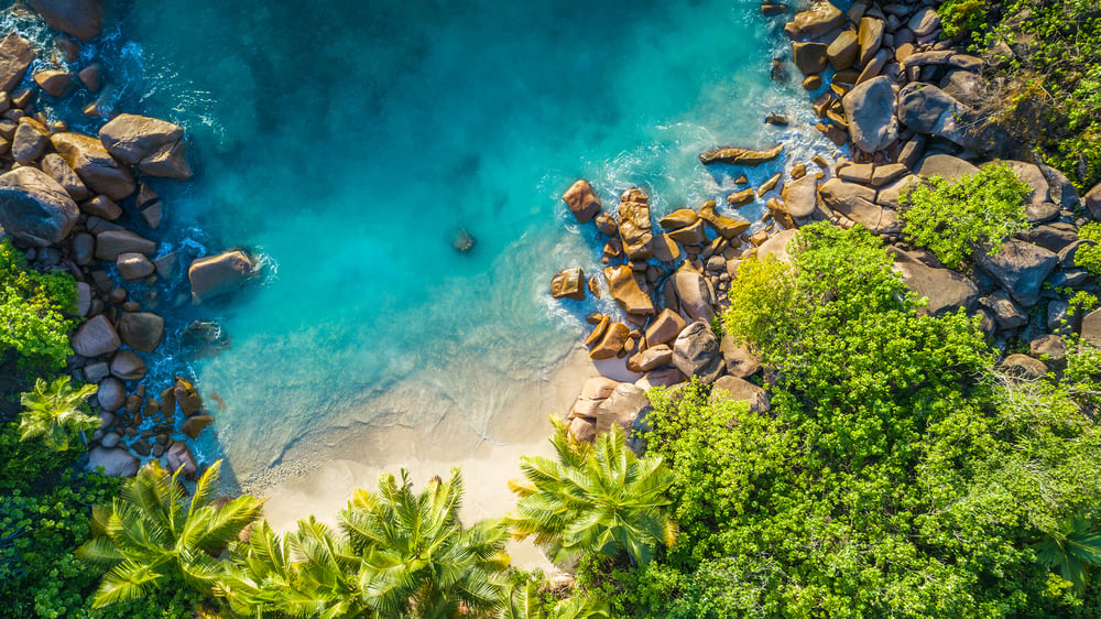 Indian Ocean Cruises