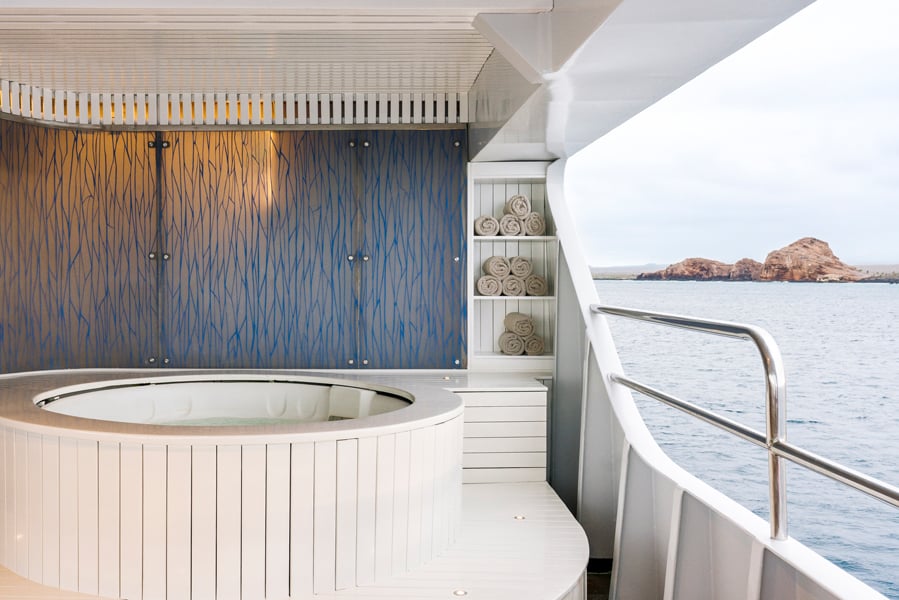 MS Santa Cruz II Wellness