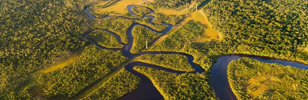 Amazon River Cruises: Seabourn and the Luxury Options