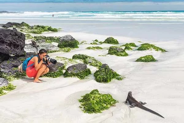 Galapagos Travel