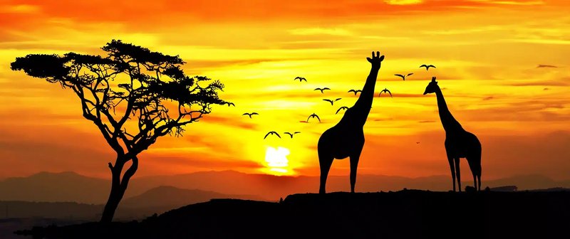 Seabourn launches 'Grand Africa' Tour!