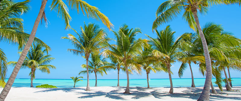 Caribbean Cruise Ports Guide: The Best Caribbean Ports Recommended by Our Experts