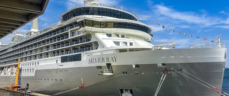 Silver Ray Review June 2024