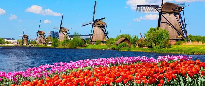 Best Spring Cruises 2025 & 2026: Top Destinations & Tips