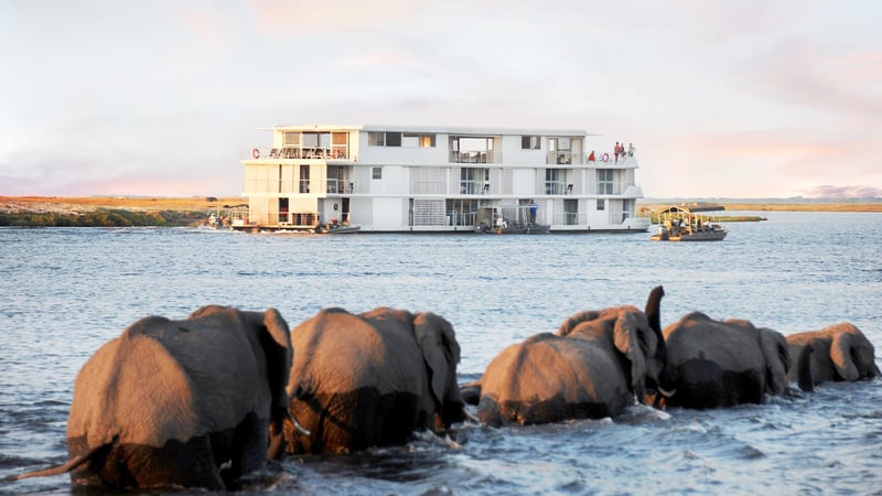 Zambezi Queen
