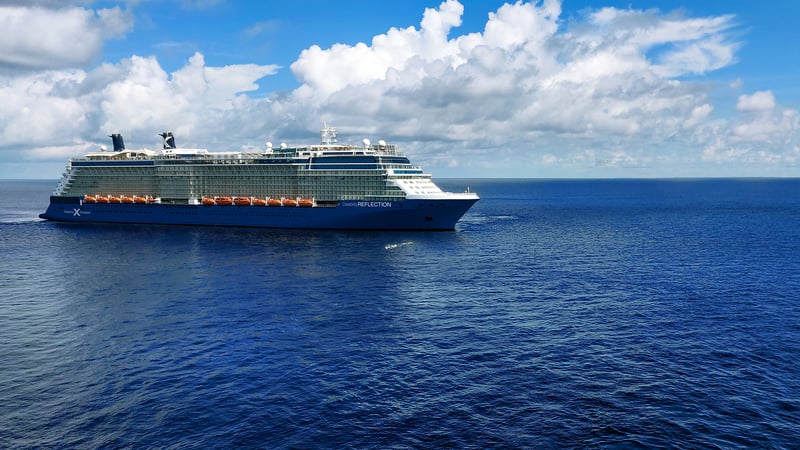 Celebrity Reflection