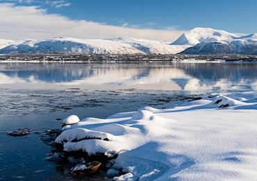 Arctic Fjords