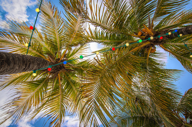 Caribbean Christmas Cruise