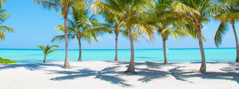 Caribbean Featured Cruise Lines