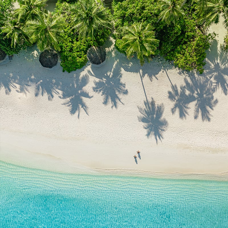 Destination Caribbean