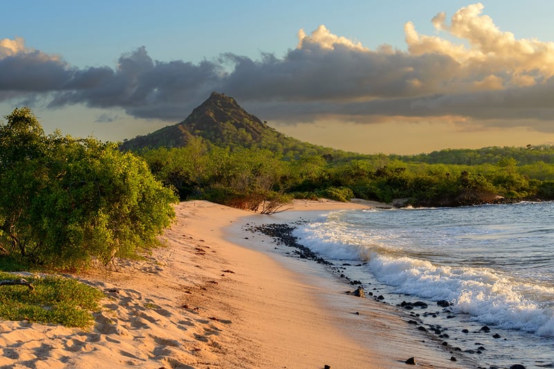 Galapagos Landscape
