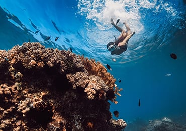 Hawaii Snorkeling