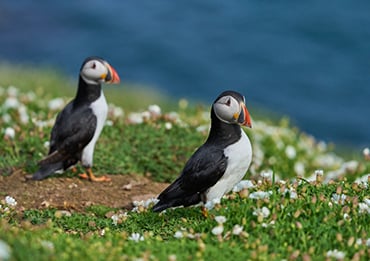 Orkney Islands