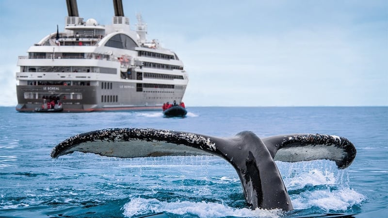 Ponant Cruises