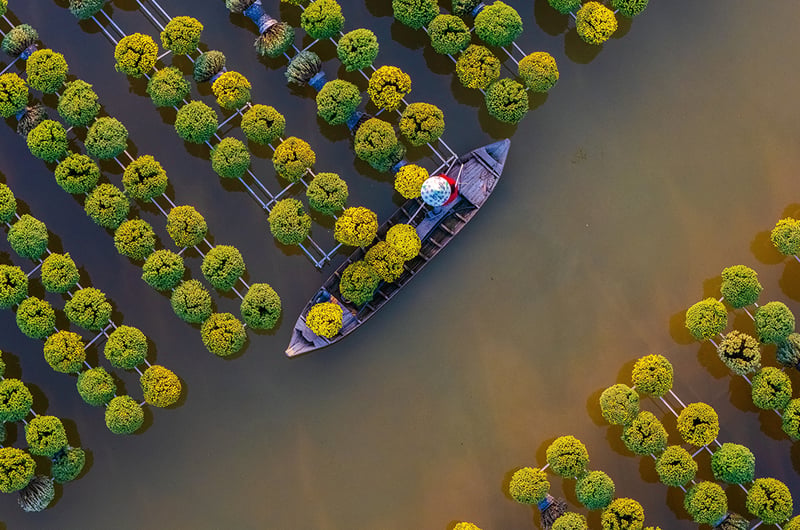 River Cruises The Mekong