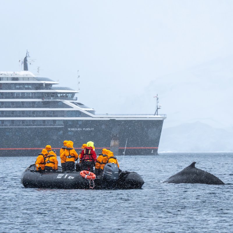 Seabourn Antarctica Cruise Deals What to Expect