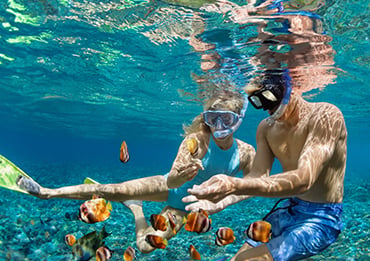 Snorkelling in Society Islands