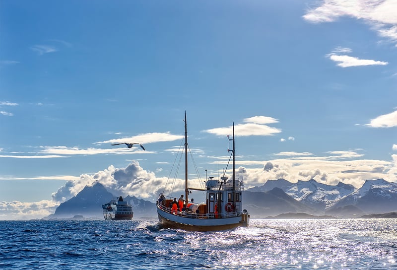 Hurtigruten Fishing in Lofoten