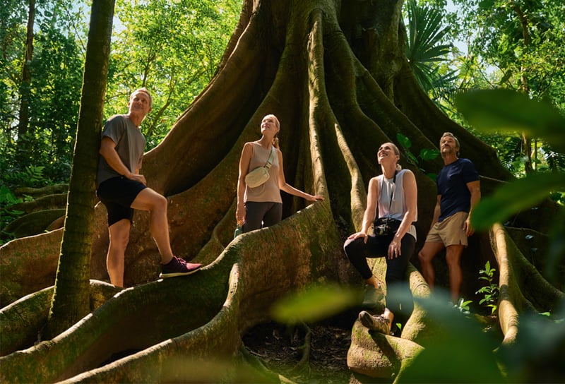 Colombia Cartagena Botanicla Gardens Giant Roots