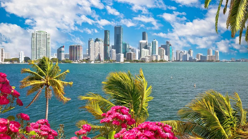 Miami cruises