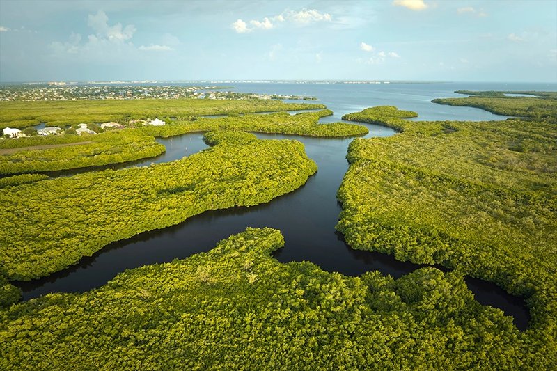 everglades national park miami cruises