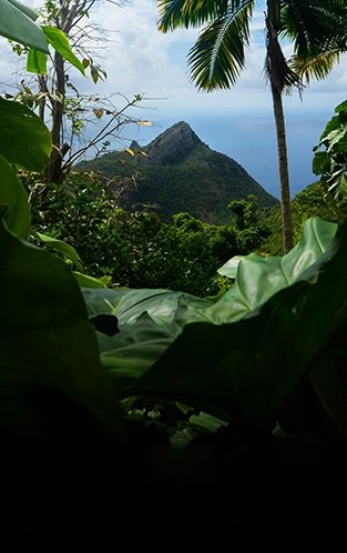 Oceania cruise and stay deals