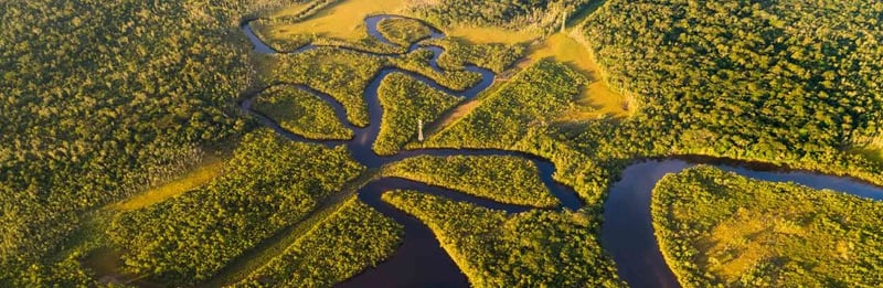 Amazon River Cruises: Seabourn and the Luxury Options