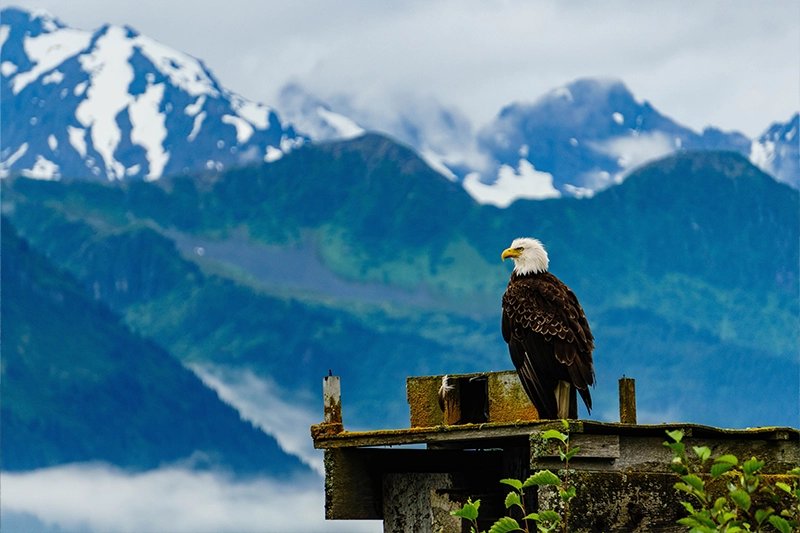 2027 Expedition Cruises
