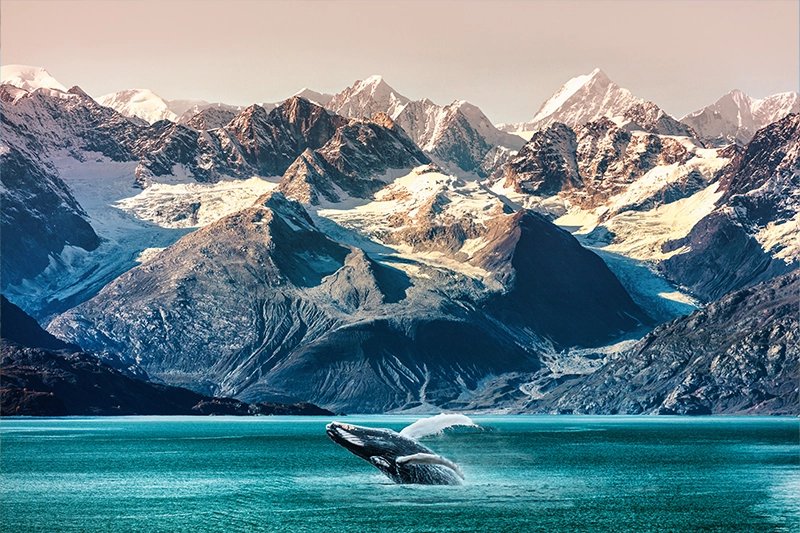 Expeditions Cruises Alaska