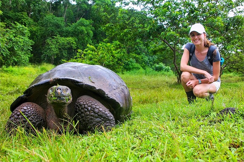 Expeditions Cruises The Galapagos