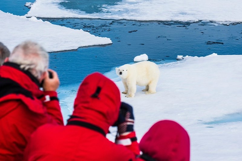 Expeditions Cruises the Arctic