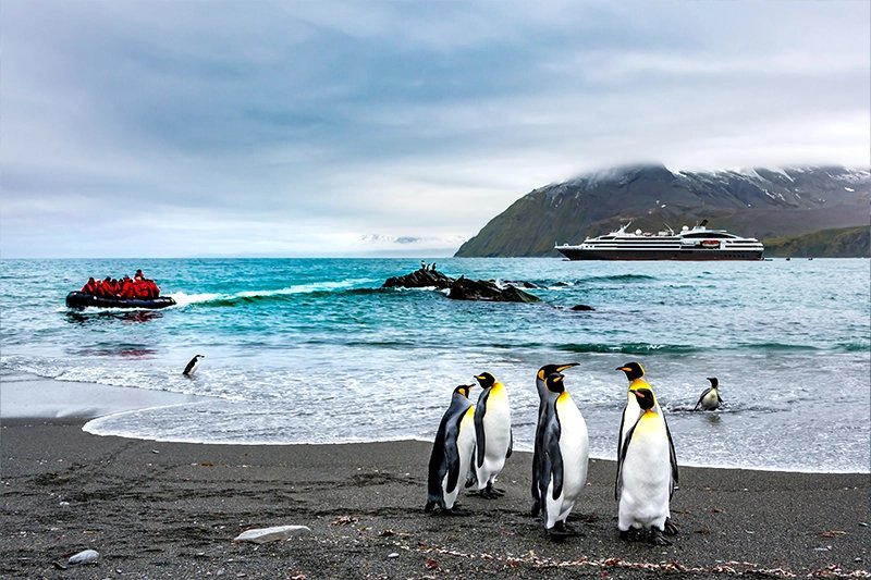 What is included with an Expedition Cruise
