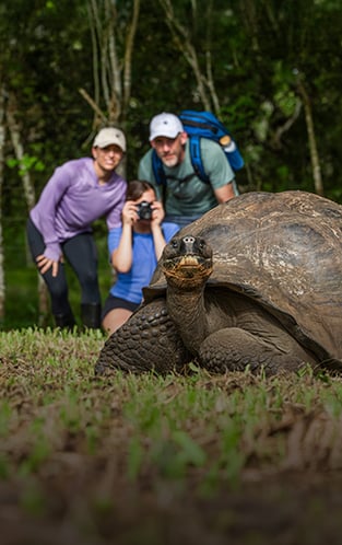 lindblad nat geo expedition offers