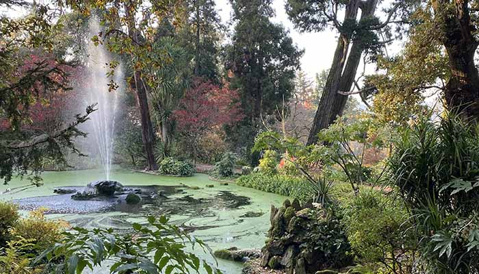 The botanical gardens of Quinta De Aveleda, Porto.