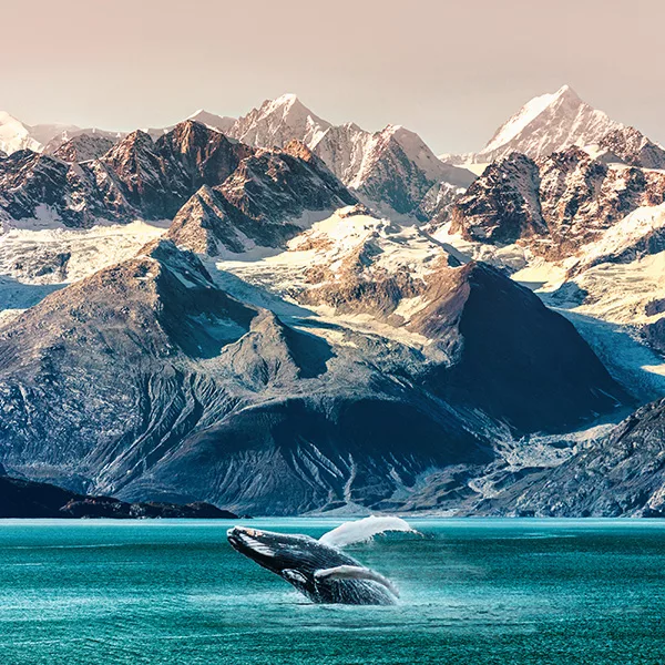 Icy Mountains in Alaska - 10 Ultimate Bucket List Destinations Revealed by Top Cruise Bloggers