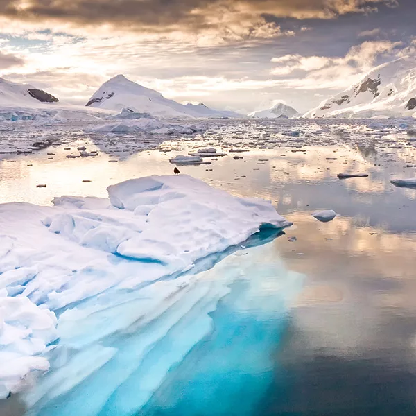 Icy mountains and icey waters in Antarctica - 10 Ultimate Bucket List Destinations Revealed by Top Cruise Bloggers
