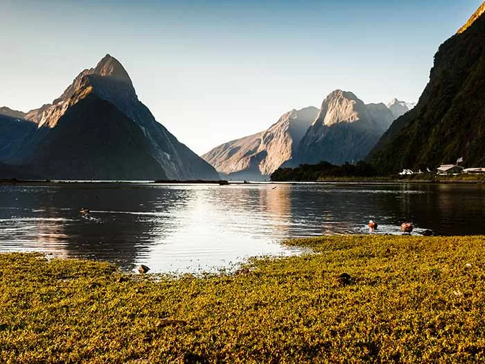 Fiordland National Park, New Zealand.